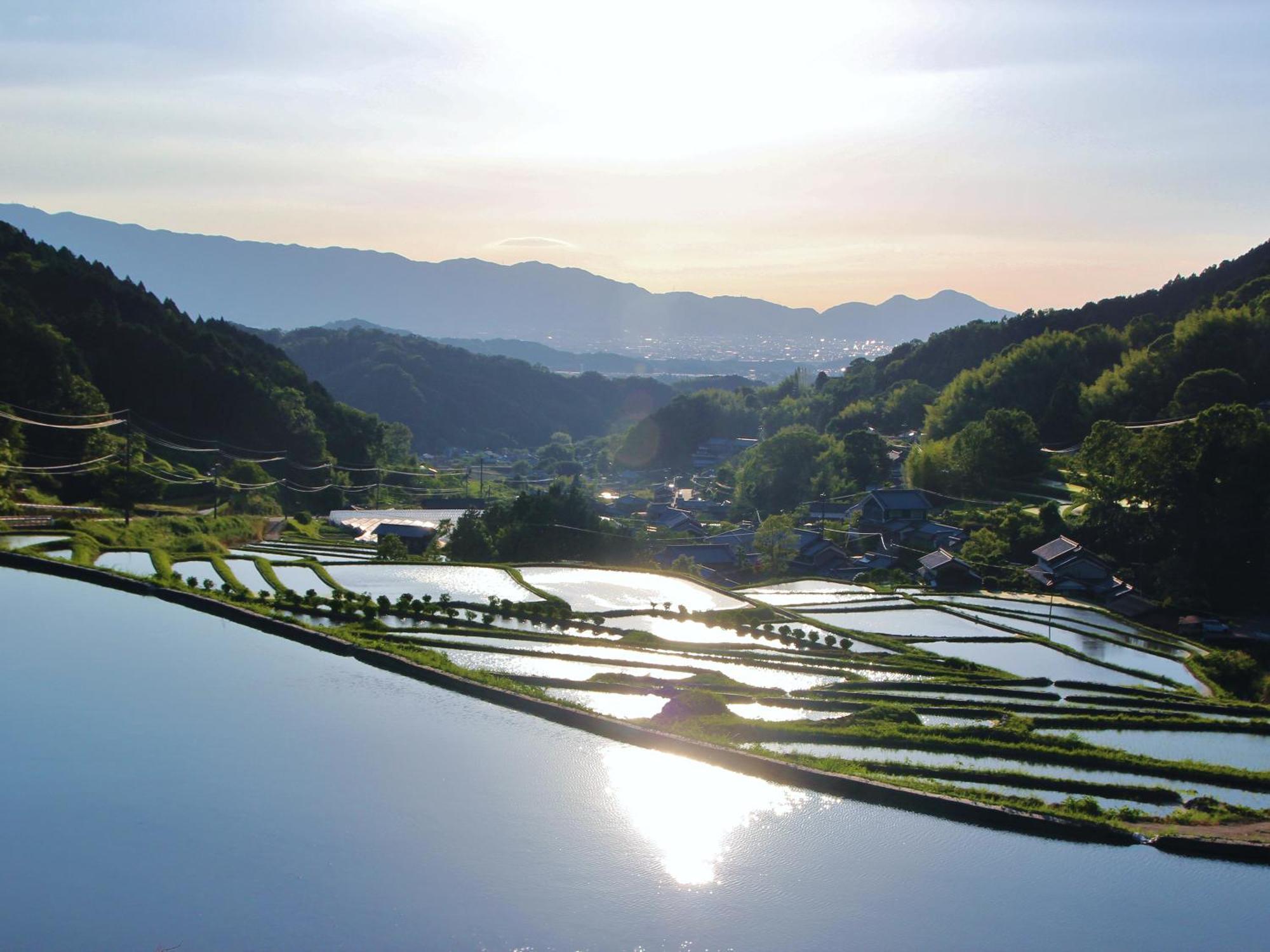 Grand Mercure Nara Kashihara Kashihara  Ngoại thất bức ảnh