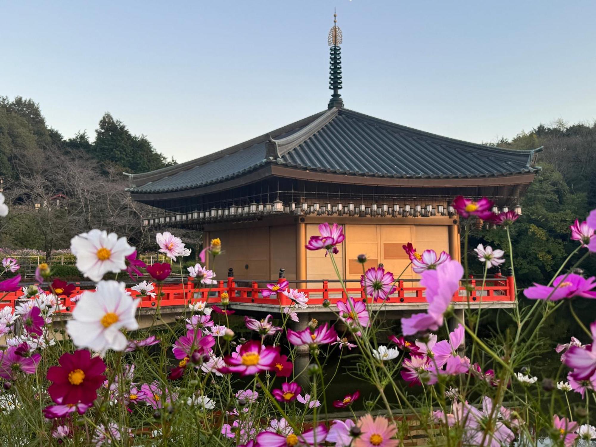 Grand Mercure Nara Kashihara Kashihara  Ngoại thất bức ảnh